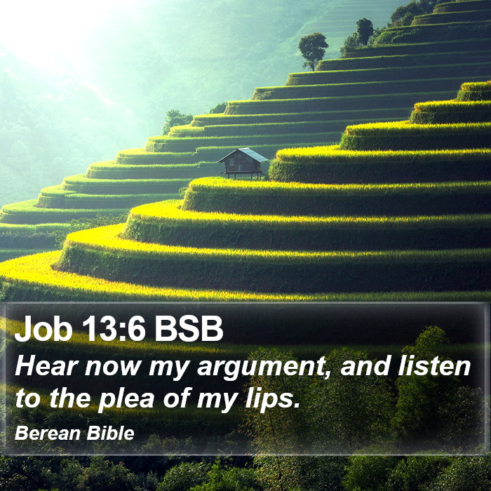 Job 13:6 BSB Bible Study