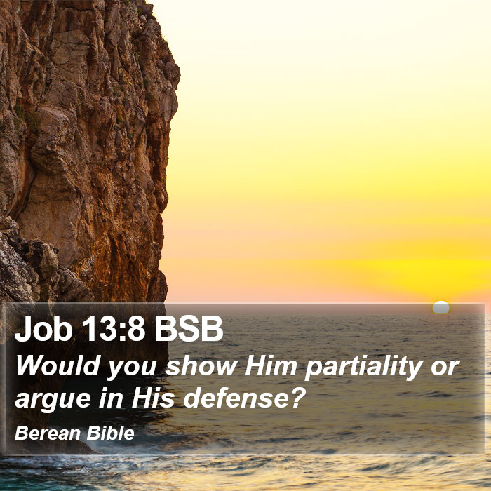 Job 13:8 BSB Bible Study