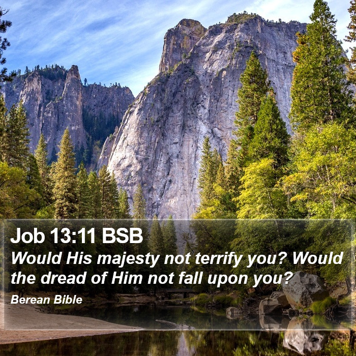 Job 13:11 BSB Bible Study