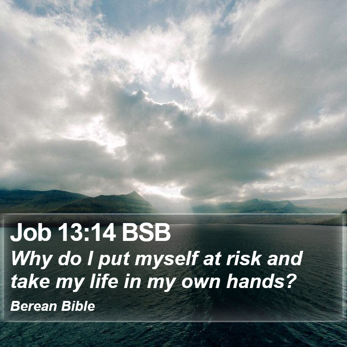 Job 13:14 BSB Bible Study