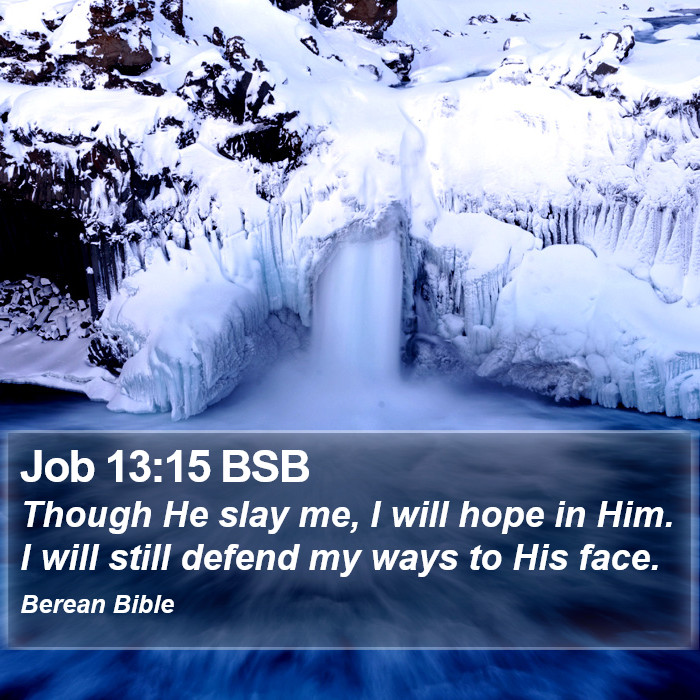 Job 13:15 BSB Bible Study