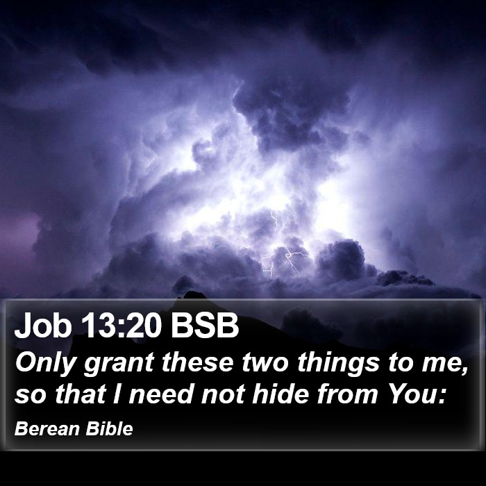 Job 13:20 BSB Bible Study