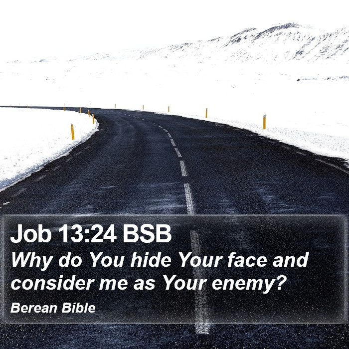 Job 13:24 BSB Bible Study