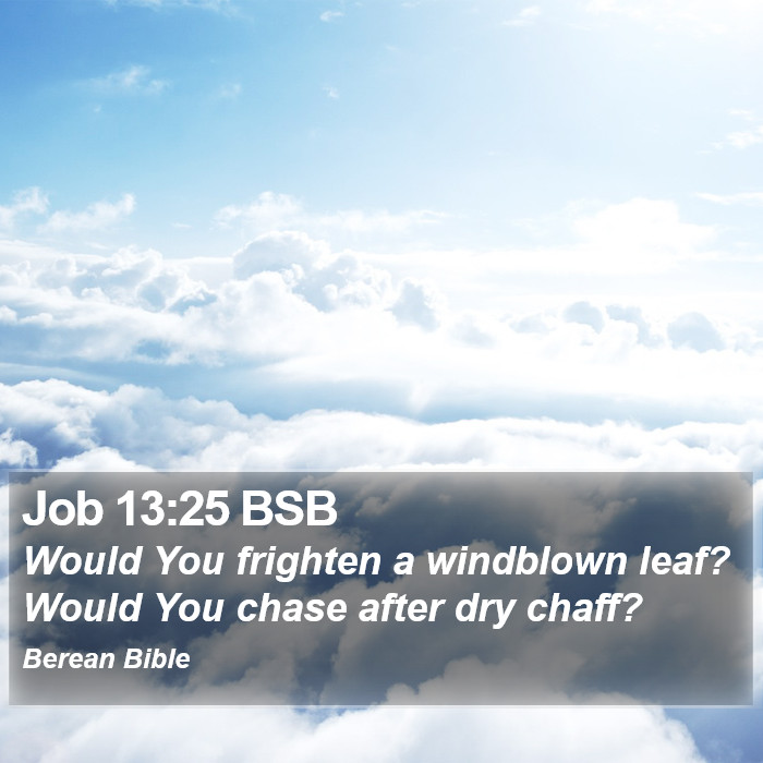 Job 13:25 BSB Bible Study