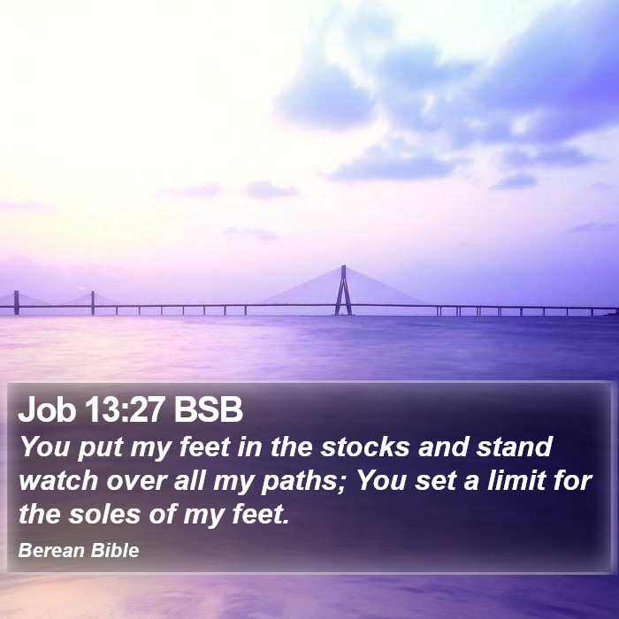 Job 13:27 BSB Bible Study