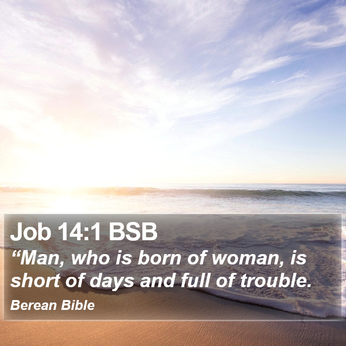 Job 14:1 BSB Bible Study