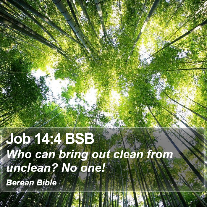 Job 14:4 BSB Bible Study