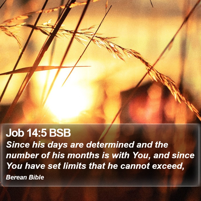 Job 14:5 BSB Bible Study