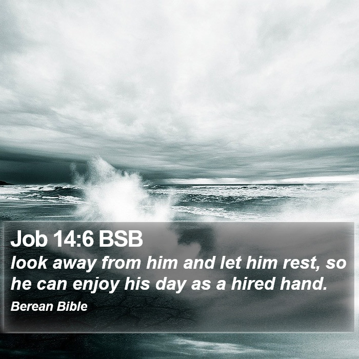 Job 14:6 BSB Bible Study