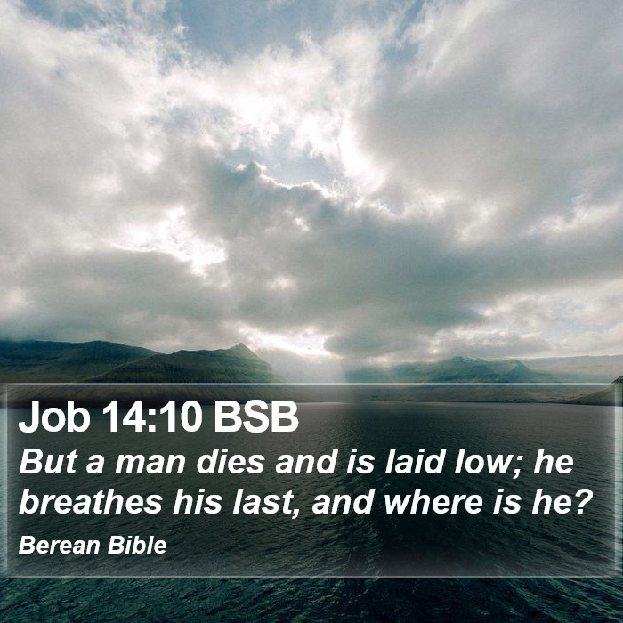 Job 14:10 BSB Bible Study