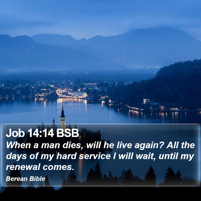 Job 14:14 BSB Bible Study