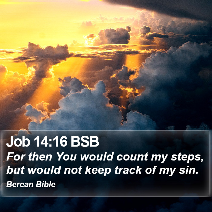 Job 14:16 BSB Bible Study