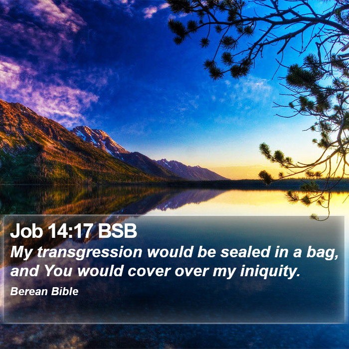 Job 14:17 BSB Bible Study