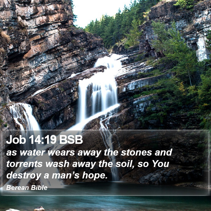 Job 14:19 BSB Bible Study