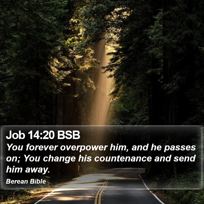 Job 14:20 BSB Bible Study