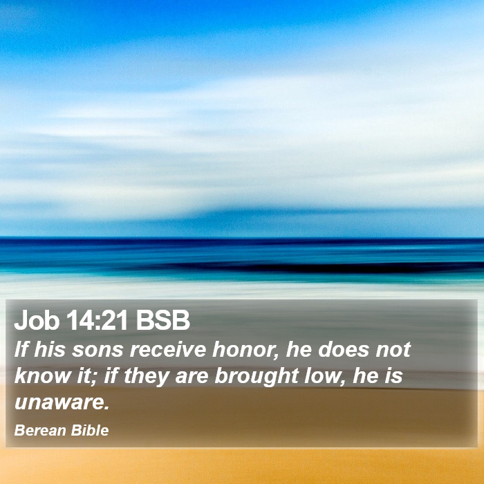 Job 14:21 BSB Bible Study