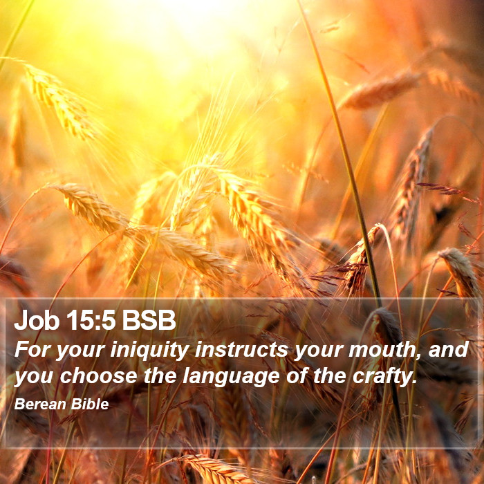 Job 15:5 BSB Bible Study