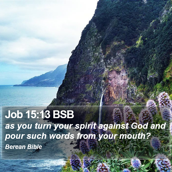 Job 15:13 BSB Bible Study