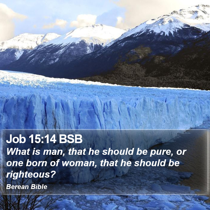 Job 15:14 BSB Bible Study