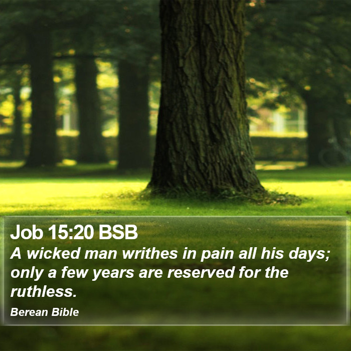 Job 15:20 BSB Bible Study