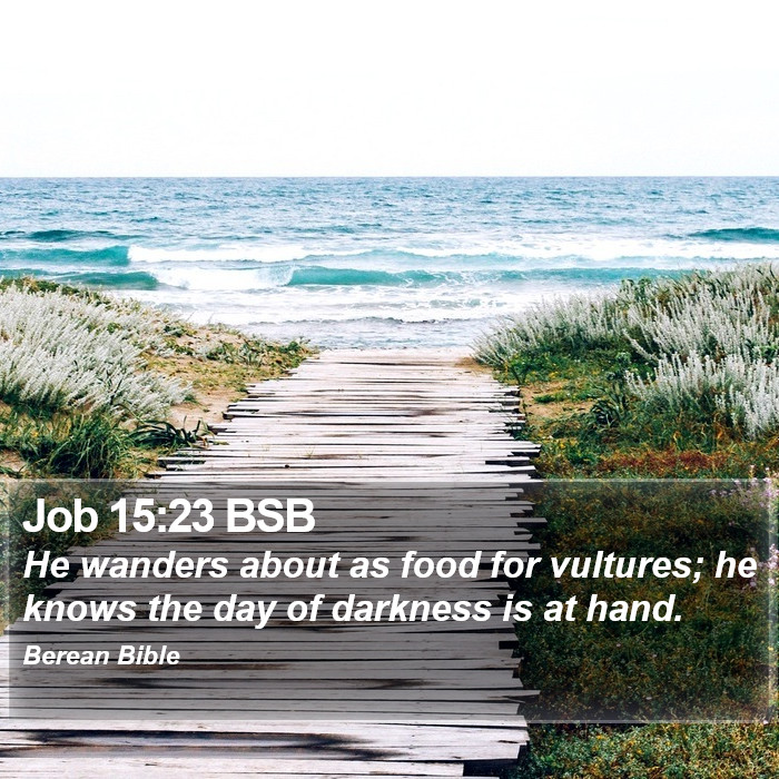 Job 15:23 BSB Bible Study