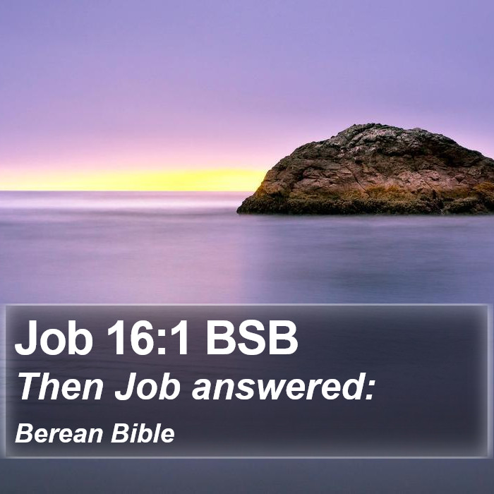 Job 16:1 BSB Bible Study