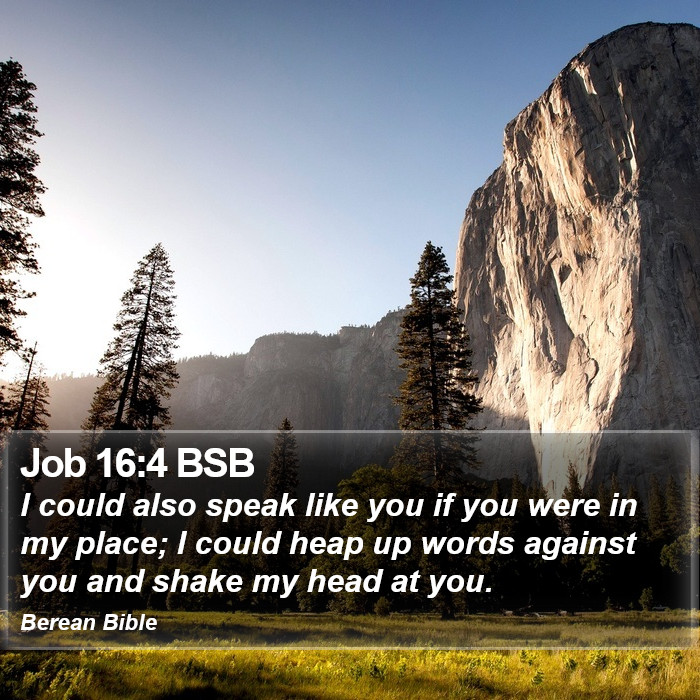 Job 16:4 BSB Bible Study