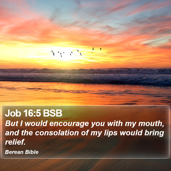 Job 16:5 BSB Bible Study