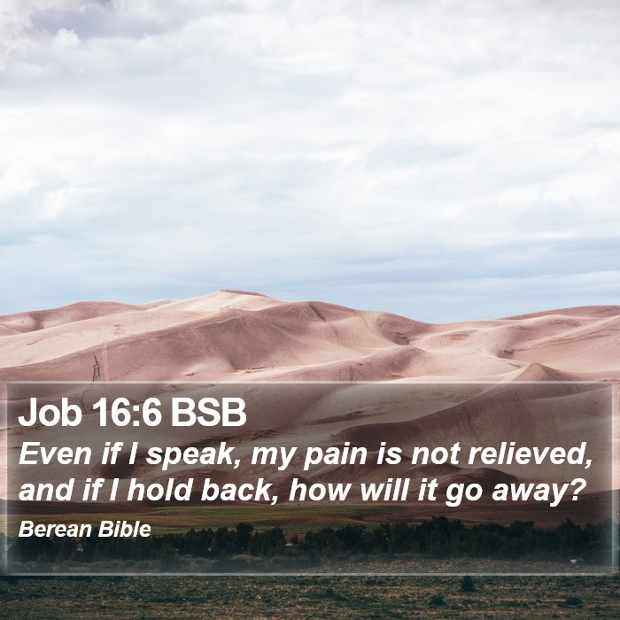 Job 16:6 BSB Bible Study