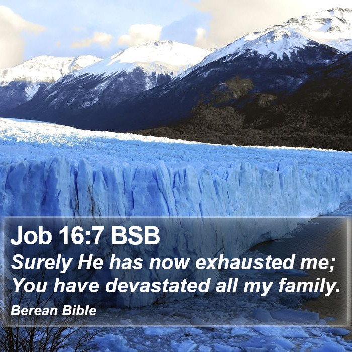 Job 16:7 BSB Bible Study