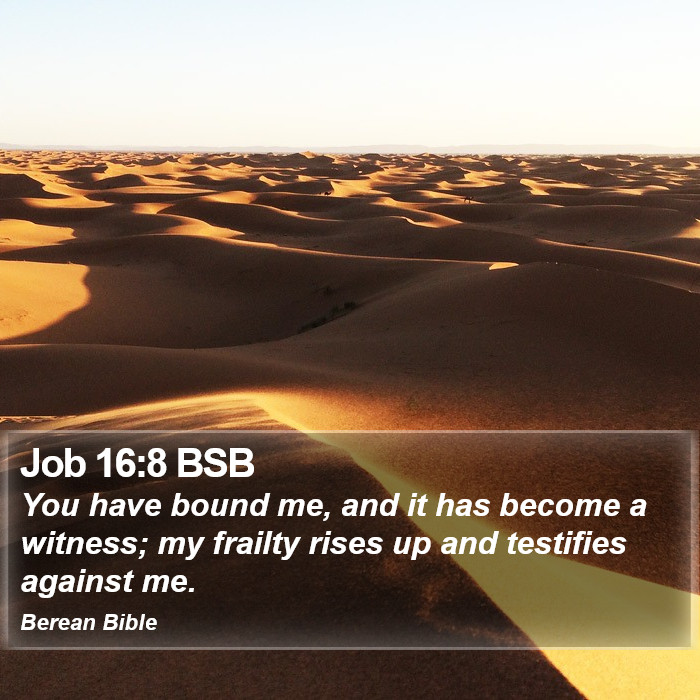 Job 16:8 BSB Bible Study