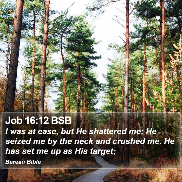 Job 16:12 BSB Bible Study