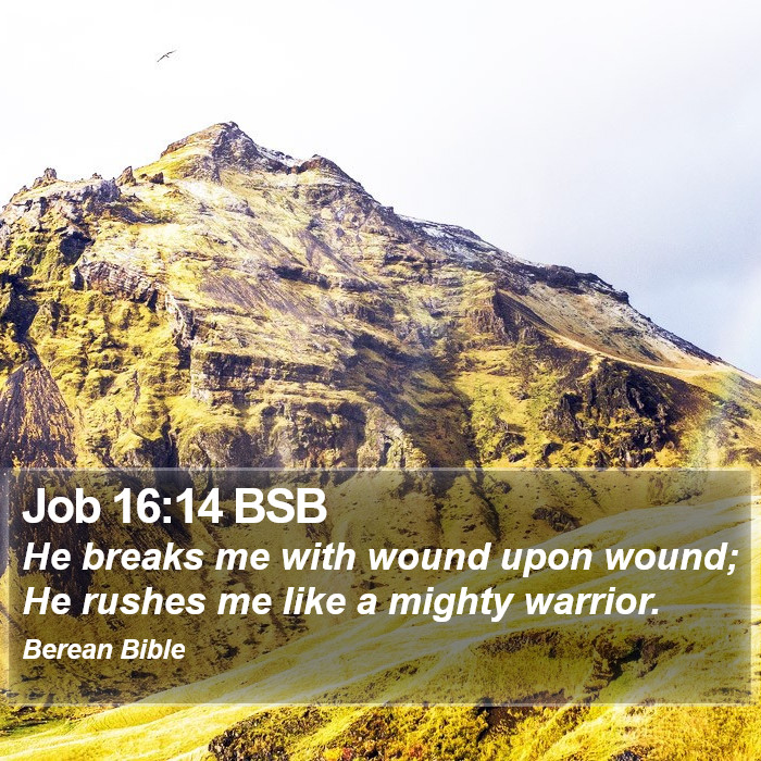 Job 16:14 BSB Bible Study