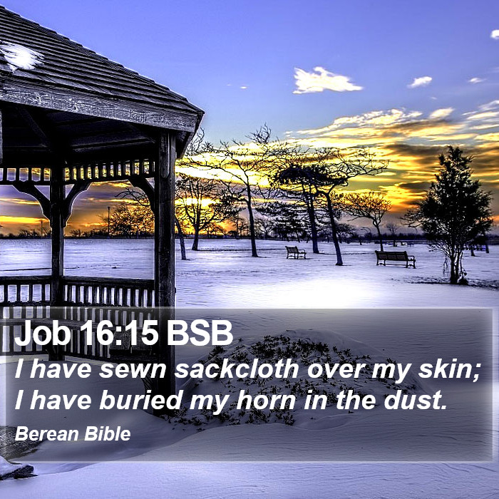 Job 16:15 BSB Bible Study