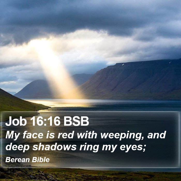 Job 16:16 BSB Bible Study