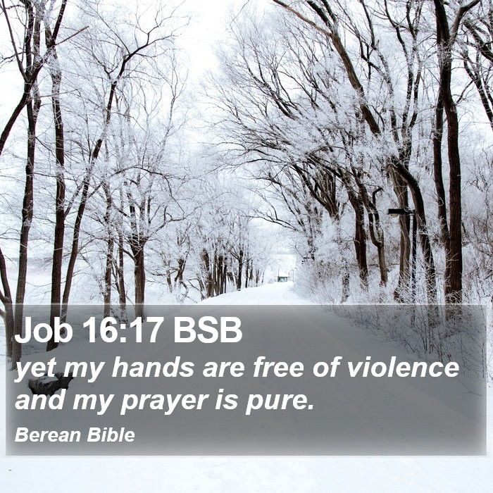 Job 16:17 BSB Bible Study