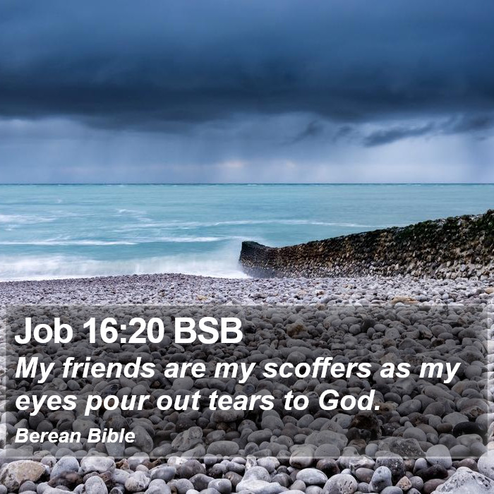 Job 16:20 BSB Bible Study