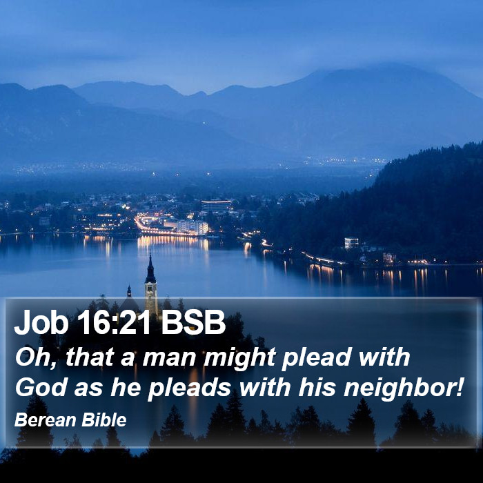 Job 16:21 BSB Bible Study