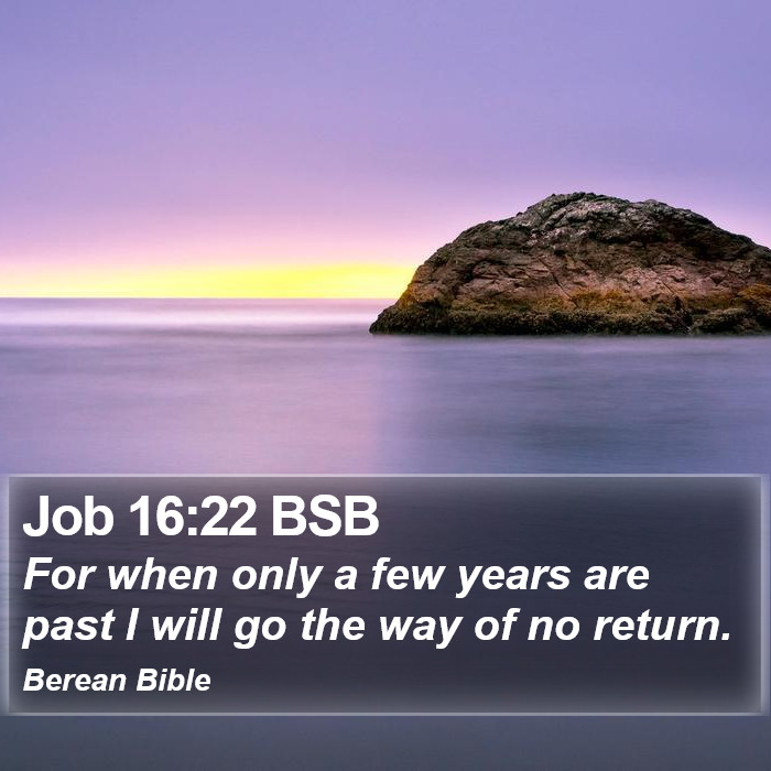 Job 16:22 BSB Bible Study