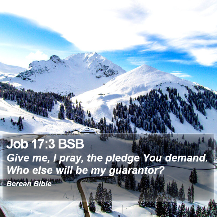 Job 17:3 BSB Bible Study