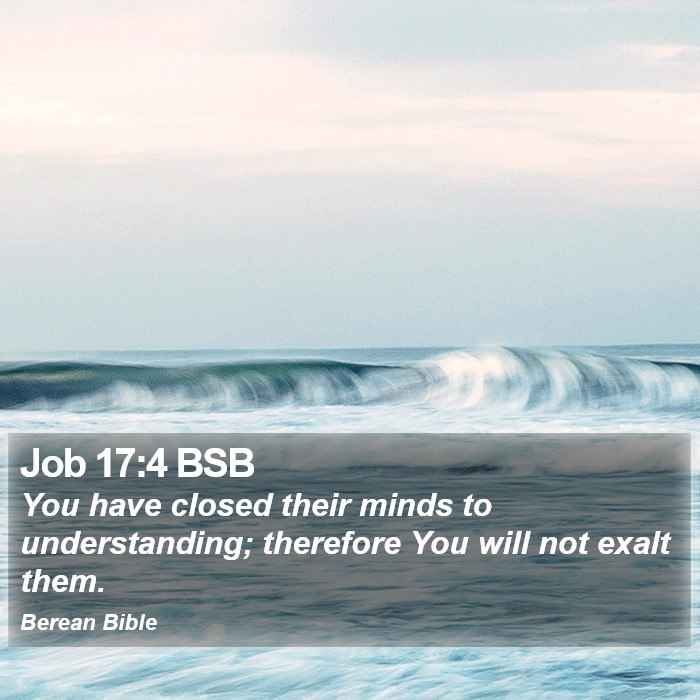 Job 17:4 BSB Bible Study