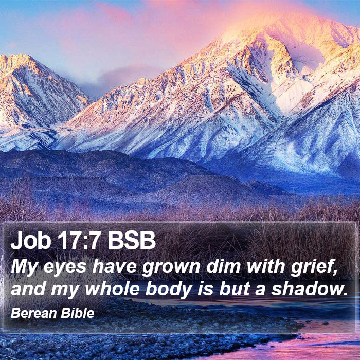 Job 17:7 BSB Bible Study