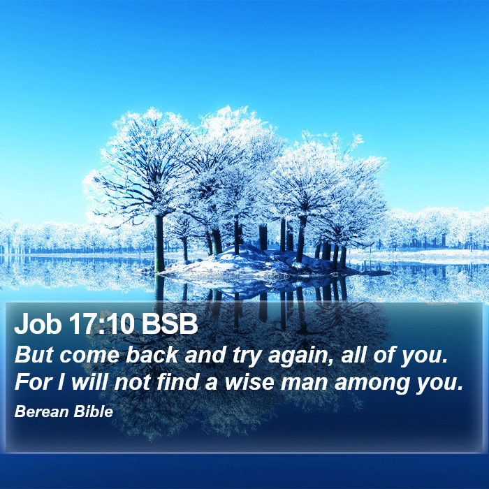 Job 17:10 BSB Bible Study