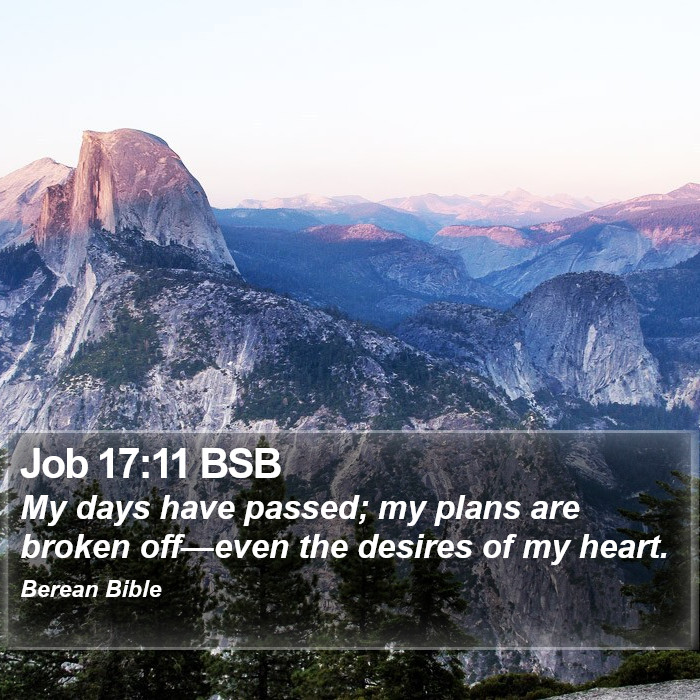 Job 17:11 BSB Bible Study