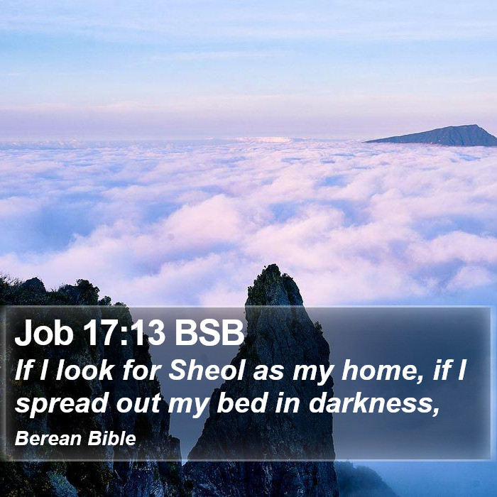 Job 17:13 BSB Bible Study