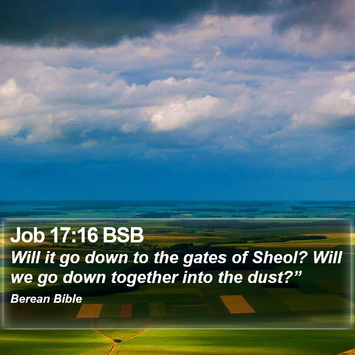 Job 17:16 BSB Bible Study