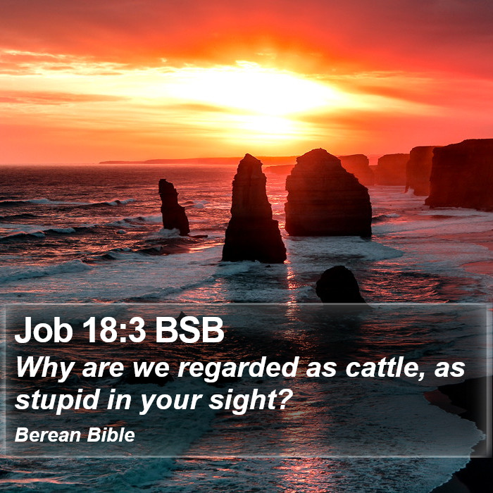 Job 18:3 BSB Bible Study