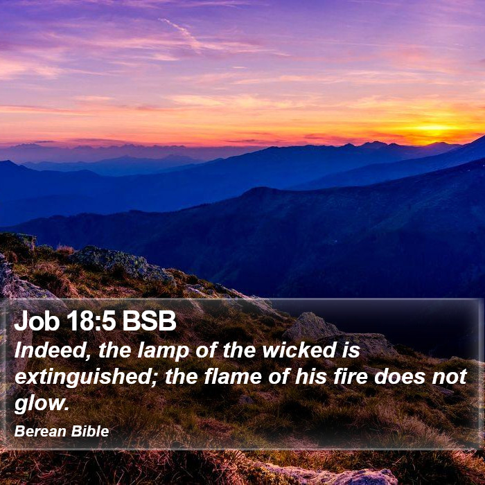 Job 18:5 BSB Bible Study