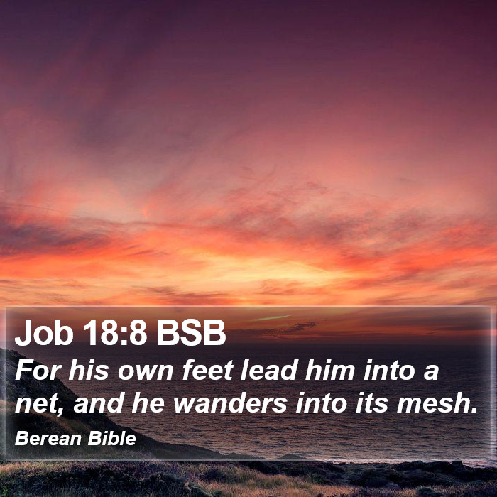 Job 18:8 BSB Bible Study