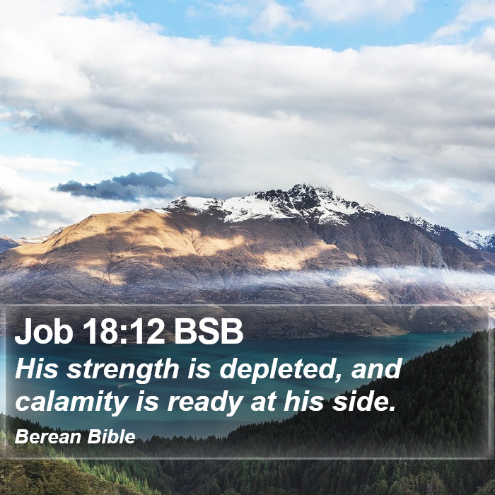 Job 18:12 BSB Bible Study